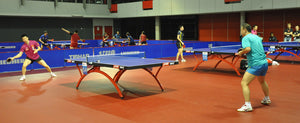 Table Tennis: The Top 5 Men's Table Tennis Players in the World