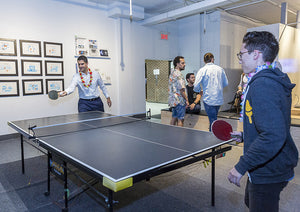 Startup Companies and the Emergence of Ping Pong