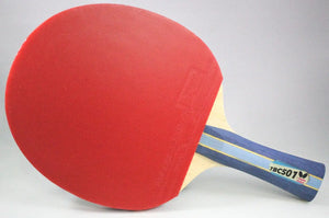 Butterfly Bty 501 FL Table Tennis Racket Set