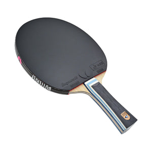 Butterfly Viscaria Super ALC Pro-Line Racket with Dignics 05