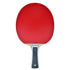 Butterfly Viscaria Super ALC Pro-Line Racket with Dignics 05 Butterfly