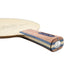 Butterfly Gionis Carbon ALL+ Table Tennis Blade Butterfly