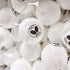 Butterfly 40+ Training Table Tennis Balls (12 or 120 Pack) Butterfly