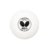Butterfly 40+ Training Table Tennis Balls (12 or 120 Pack) Butterfly