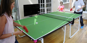 Butterfly Compact 19 Table Tennis Table