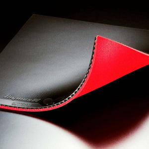 Butterfly Dignics 80 Table Tennis Rubber