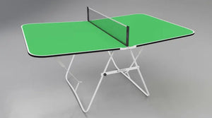 Butterfly Family Mini Table Tennis Table