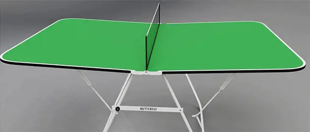 Butterfly Family Mini Table Tennis Table