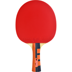 Butterfly Lin Yun-Ju Carbon Fiber Ping Pong Racket Butterfly