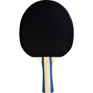 Butterfly Lin Yun-Ju Shakehand Table Tennis Racket Butterfly