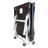 Butterfly Centrefold 25 Table Tennis Table Butterfly