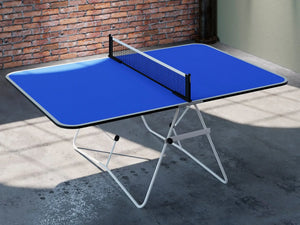 Butterfly Family Mini Table Tennis Table